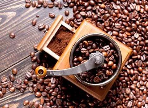 قیمت قهوه تازه رست شده با کیفیت ارزان + خرید عمده